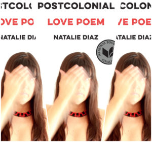 Book cover of 'Postcolonial Love Poem'