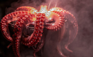 Image of a red-pink octopus