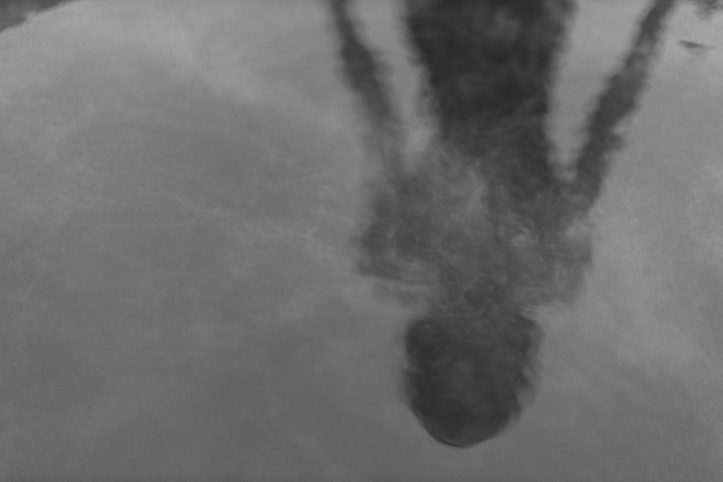 Black-and-white image of an upside down human form