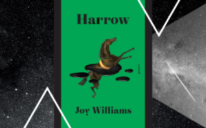 Book cover of 'Harrow'
