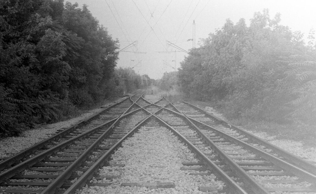 Black-and-white photo of criss=crossing train tracks between two edges of a forest