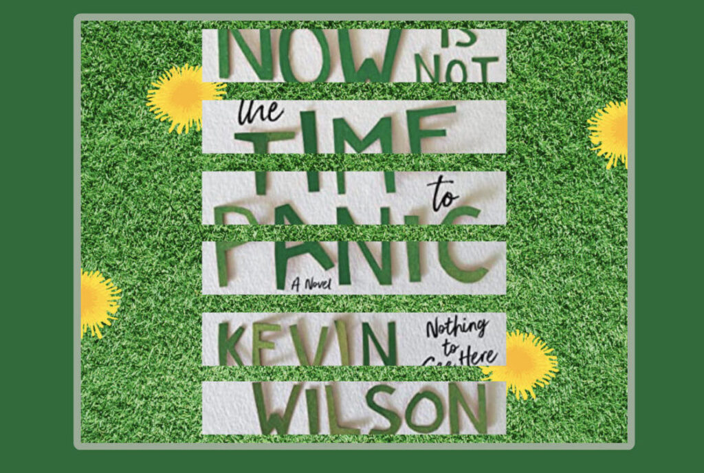 Cover art for novel Now is Not the Time to Panic