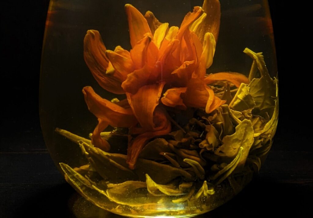flower bud suspended in water in a glass